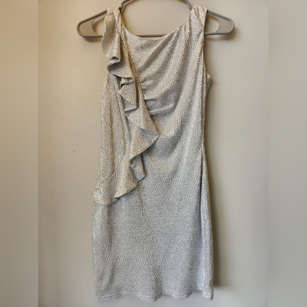 Elegant Silver Ruffle Dress
